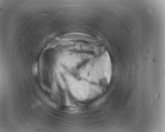 X0000083030095200702231915