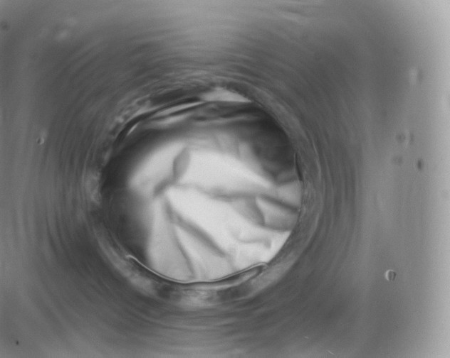 X0000083030096200702231915