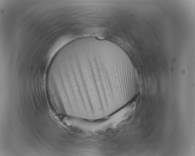 X0000083030100200702231914