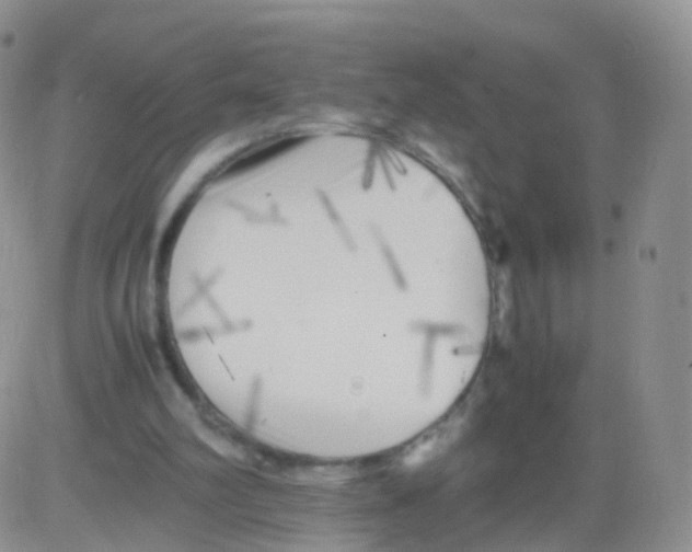 X0000083030102200702231914