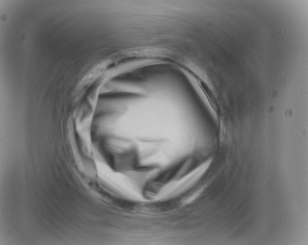 X0000083030109200702231914