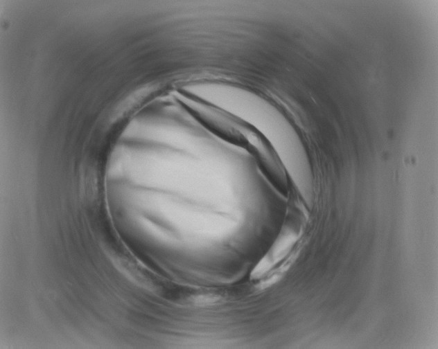 X0000083030158200702231913