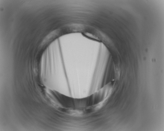 X0000083030170200702231913