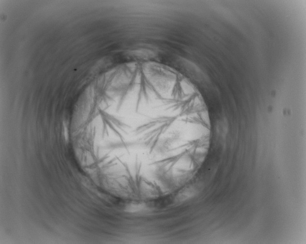 X0000083030177200702231913