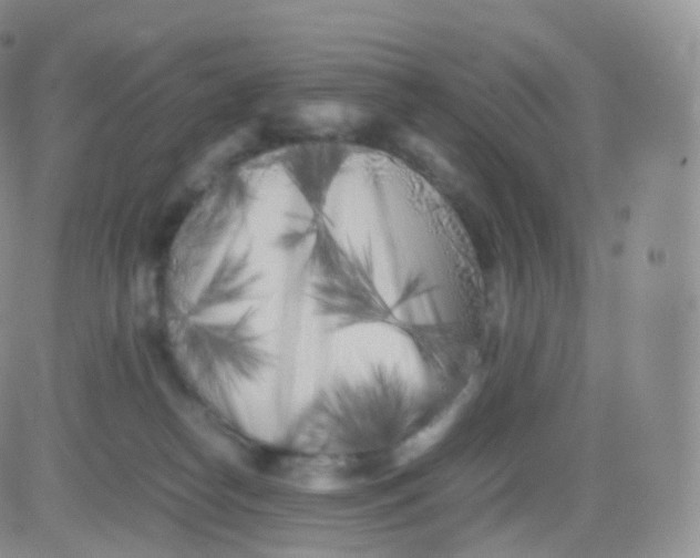 X0000083030182200702231913