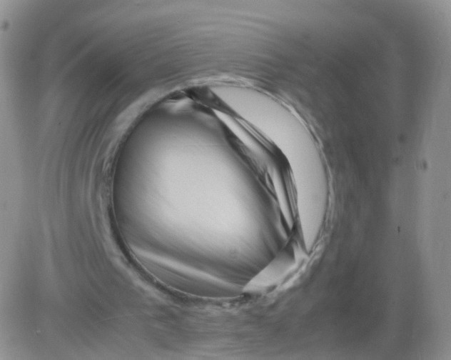 X0000083030193200702231913