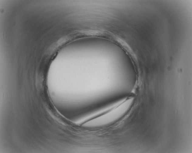X0000083030201200702231913