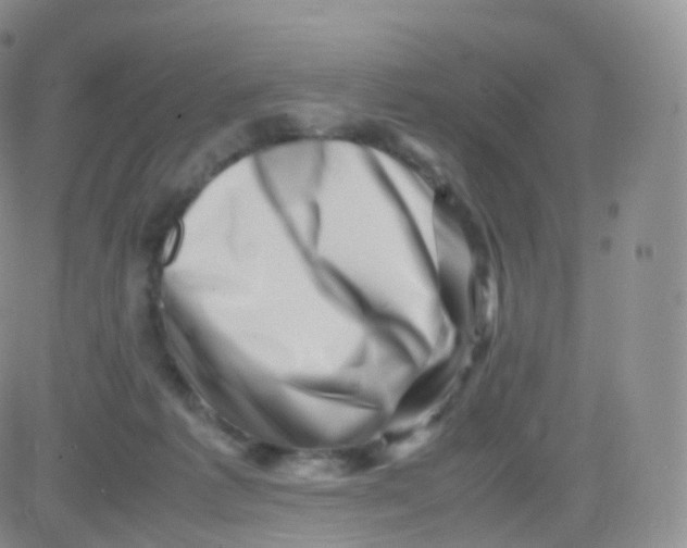 X0000083030221200702231912