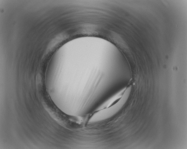 X0000083030256200702231911