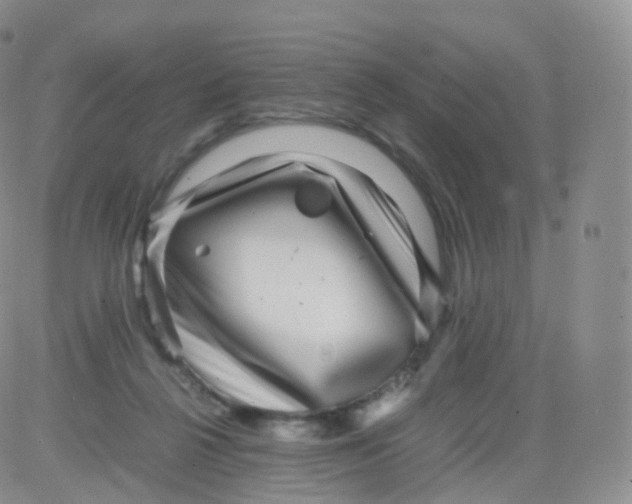 X0000083030264200702231912