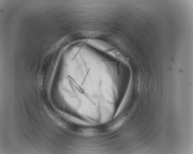 X0000083030268200702231912