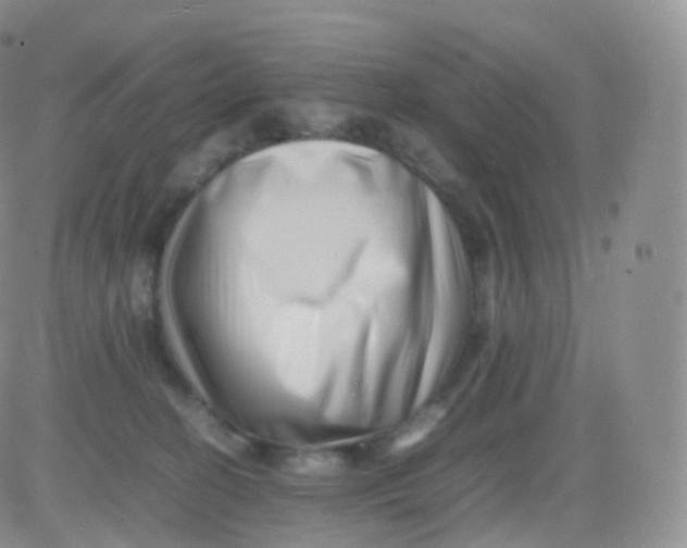 X0000083030274200702231912