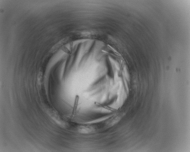 X0000083030275200702231912