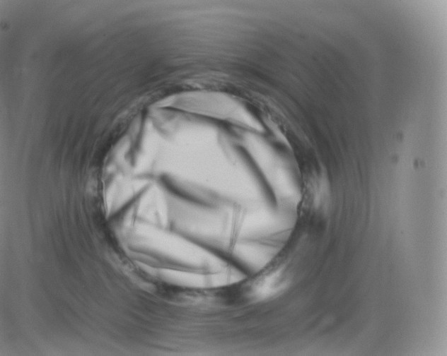 X0000083030284200702231912
