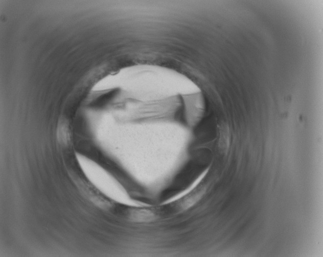X0000083030287200702231912