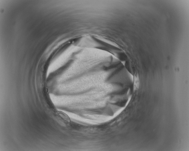 X0000083030291200702231911