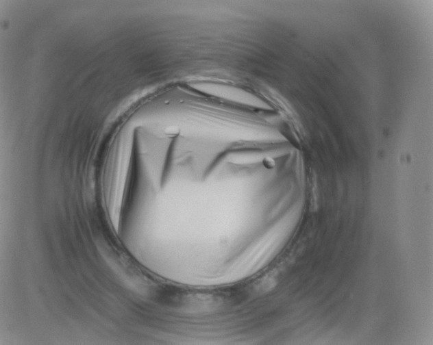 X0000083030298200702231911