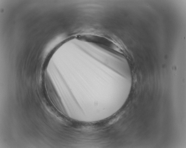 X0000083030344200702231910