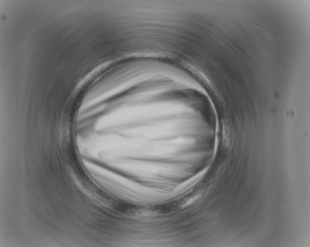 X0000083030348200702231910
