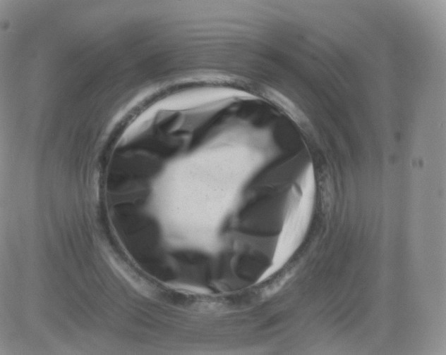 X0000083030350200702231910