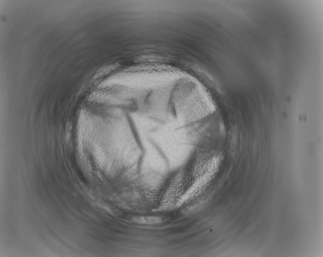 X0000083030361200702231910
