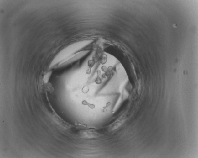 X0000083030372200702231910