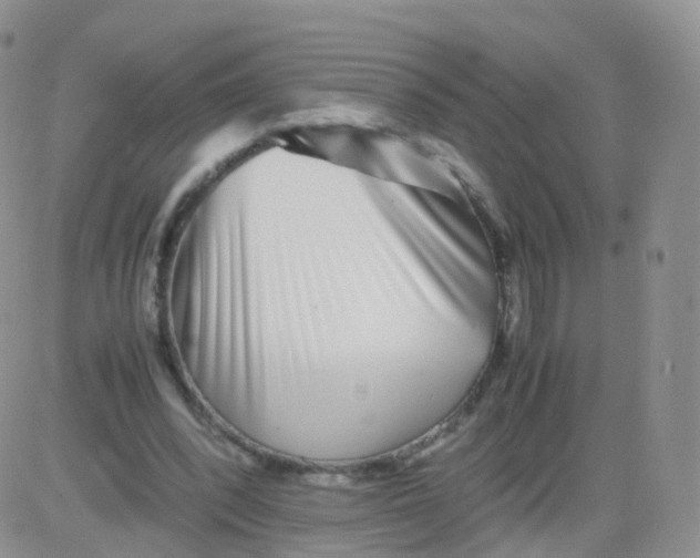 X0000083030392200702231909
