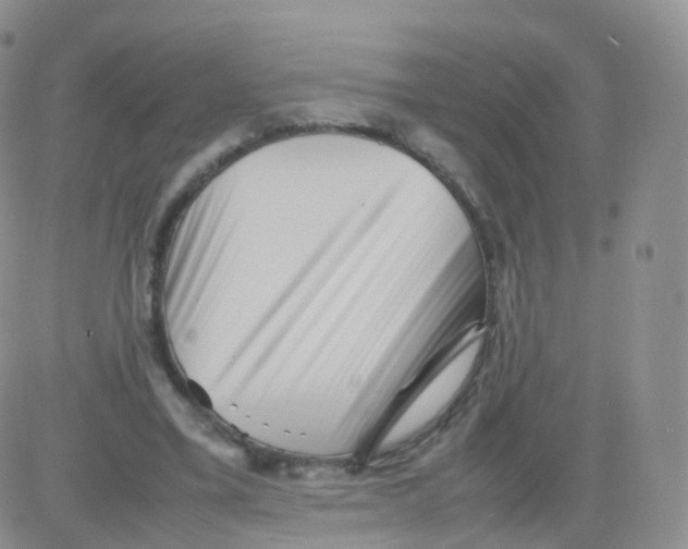 X0000083030395200702231909