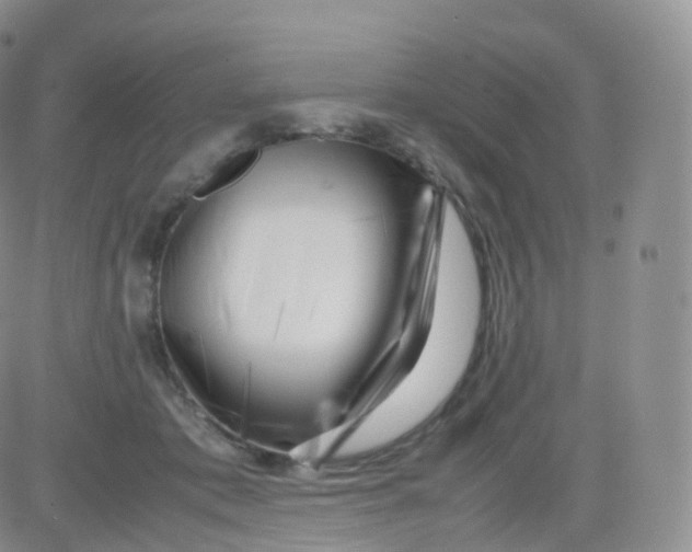 X0000083030413200702231909