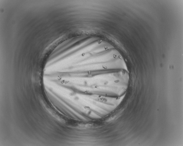 X0000083030450200702231908