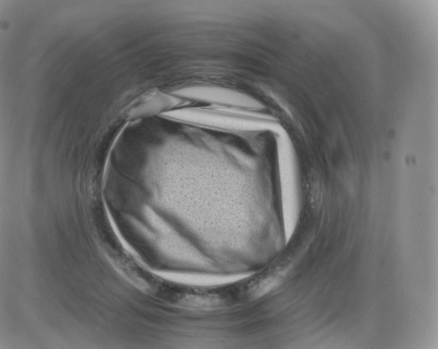 X0000083030455200702231908
