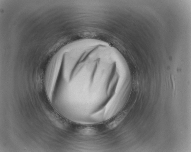 X0000083030460200702231908