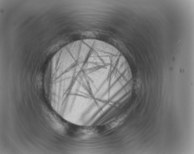 X0000083030466200702231908