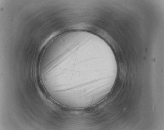 X0000083030482200702231908