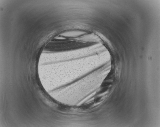 X0000083030493200702231908