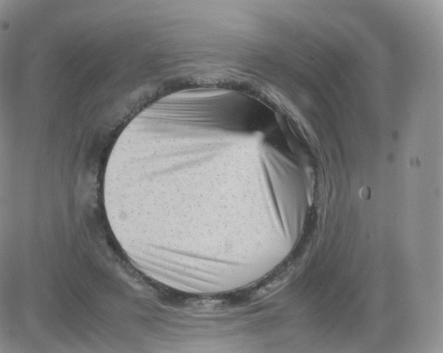 X0000083030497200702231908
