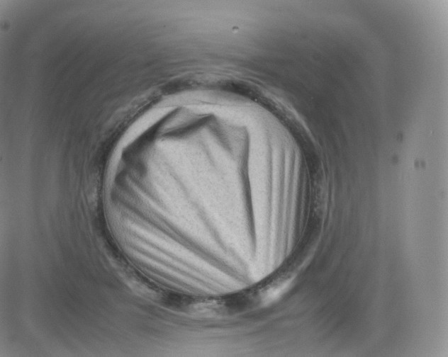 X0000083030505200702231908