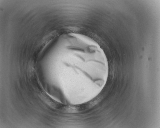 X0000083030518200702231907