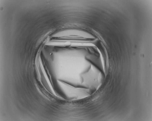 X0000083030538200702231906