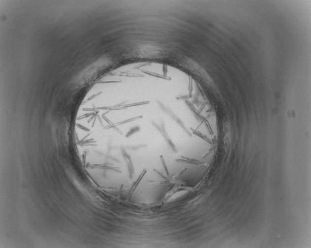 X0000083030542200702231907