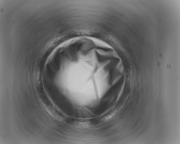 X0000083030548200702231907