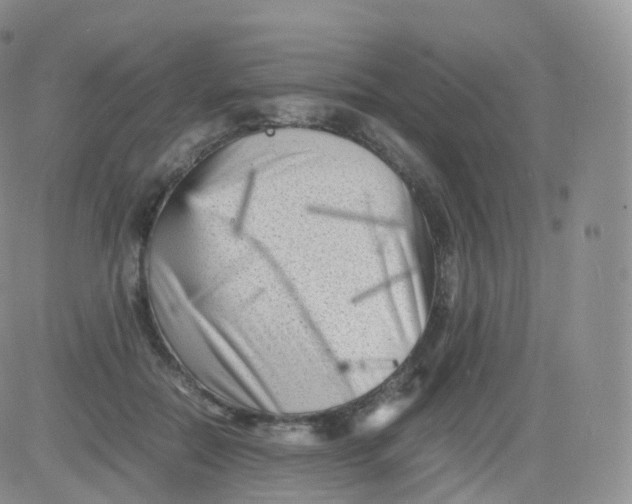 X0000083030554200702231907