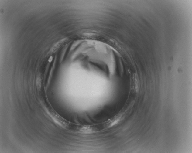 X0000083030562200702231907