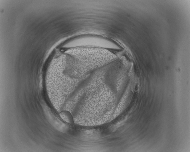 X0000083030584200702231906
