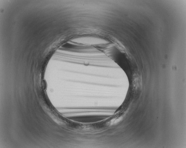 X0000083030589200702231906