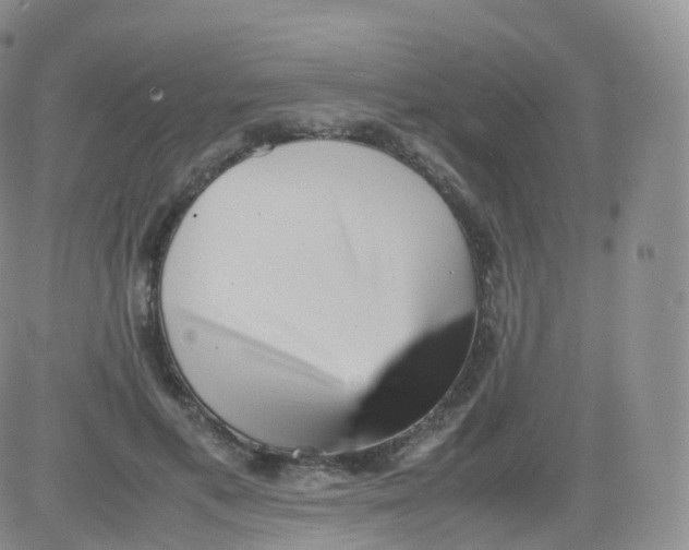 X0000083030597200702231906