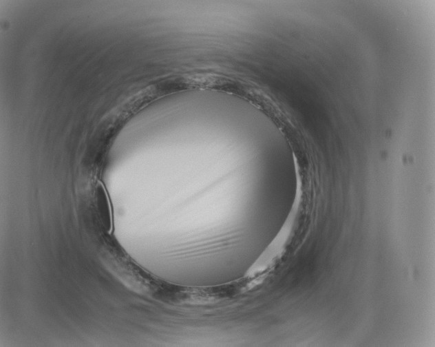 X0000083030601200702231906