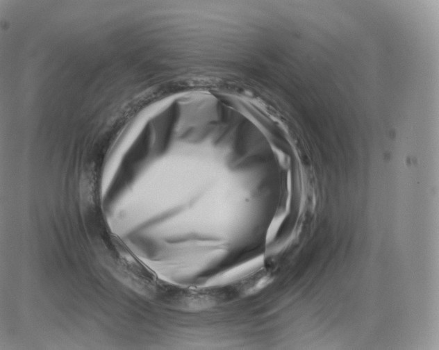 X0000083030604200702231906