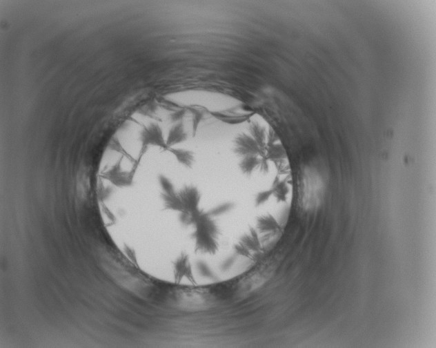 X0000083030618200702231906