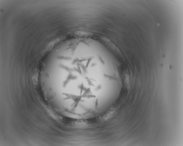 X0000083030668200702231905